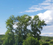 коттедж 350 кв м ул Набережная, 32